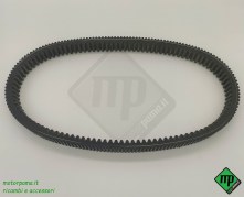 cinghia ultimax XS XS821